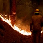 Una "tragedia nacional", señaló hoy el primer ministro, Aïmene Benabderrahmane, que reveló que los primeros indicios apuntan a incendios provocados