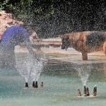 Una joven con su perro se refrescan en una fuente de los Jardines de Viveros de Valencia.