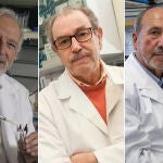 Luis Enjuanes, Vicente Larraga y Mariano Esteban
