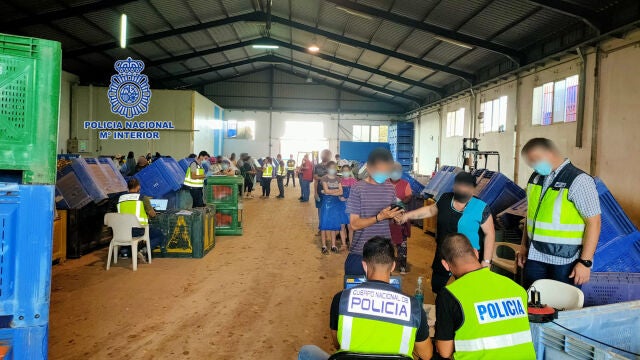 La Policía Nacional inspecciona en dos ocasiones, en menos de un mes, la misma empresa hortofrutícola por explotar laboralmente a sus trabajadores