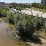 Imagen del río Manzanares en Madrid