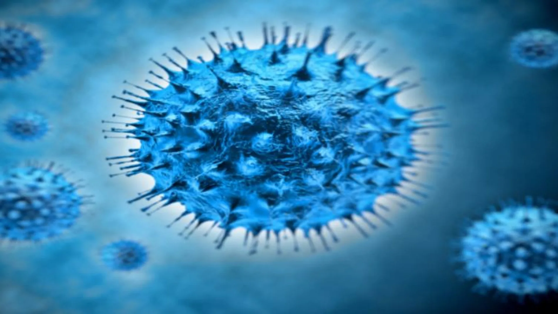Virus de Epstein Barr