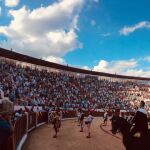 Toros en Colmenar, dos años después