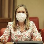 La vicesecretaria de Política Social del Partido Popular, Ana Pastor
