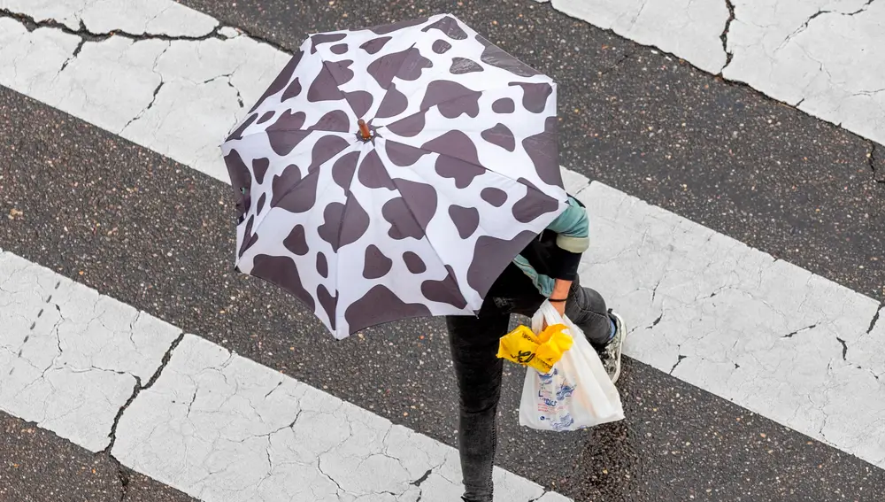 El accidente, ocurrido en un paso de cebra regulado por semáforos. Imagen de archivo