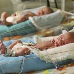 La superfertilización heteroparental da lugar a mellizos que genéticamente solo comparten el ADN de la madre
