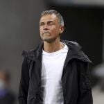Luis Enrique, durante el Suecia-España.