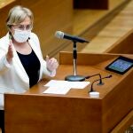 La consellera de Sanidad, Ana Barceló, durante una de sus comparecencias en Les Corts