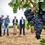 El presidente de la Diputación de Valladolid, Conrado Íscar, junto a los socios de la Bodega Tr3smano