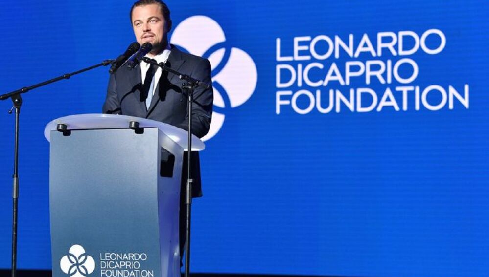 Leonardo DiCaprio Foundation