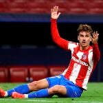 Antoine Griezmann