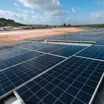 La patronal de las renovables reclama que la norma impuesta por el gobierno de Pedro Sánchez se tramite como Proyecto de Ley