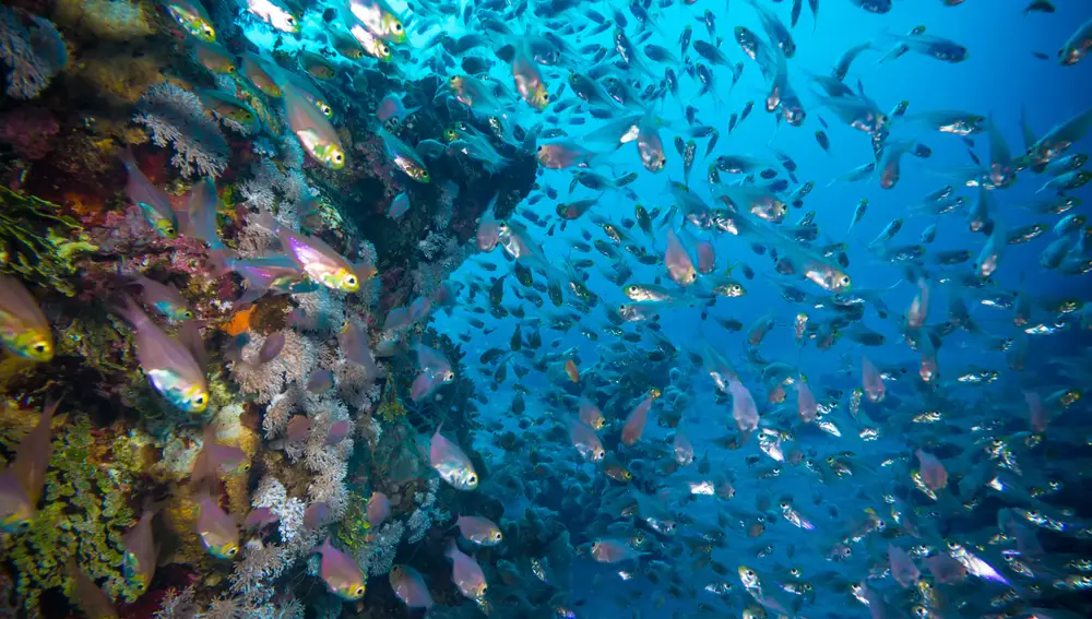 Egipto: Multiaventura en la tierra de los faraones