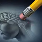 El 35% de los casos de alzhéimer se pueden atribuir a nueve factores de riesgo modificables