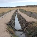 Humedal del nacimiento del río Jalón recuperado.AYUNTAMIENTO DE ARCOS DE JALÓN23/09/2021