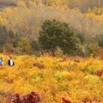 Otoño en El Bierzo