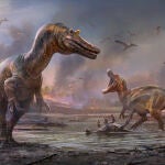 Recreación artística de los dos espinosáuridos encontrados. Ceratosuchops inferodios en primer plano y Riparovenator milnerae rugiendo al fondo.