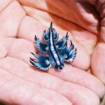 Tamaño del `Dragón Azul´