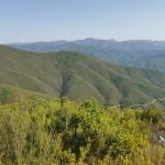El primero de los bosques comenzará a plantarse este otoño en Extremadura