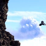 La columna de humo que sale del volcán de La Palma, vista desde el Roque de los Muchachos