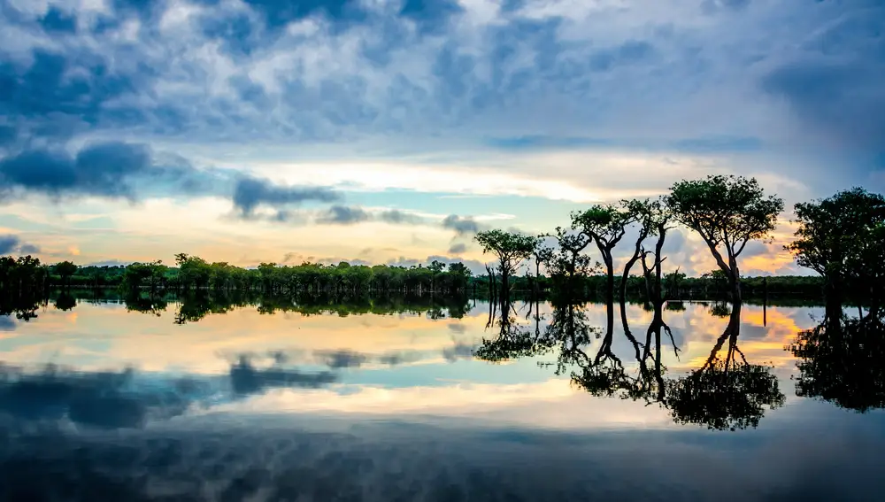 Banco Santander llegó a un acuerdo histórico con Bradesco e Itaú Unibanco para proteger la Amazonia.