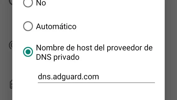 Solo hay que introducir el nombre del DNS que vayas a utilizar.
