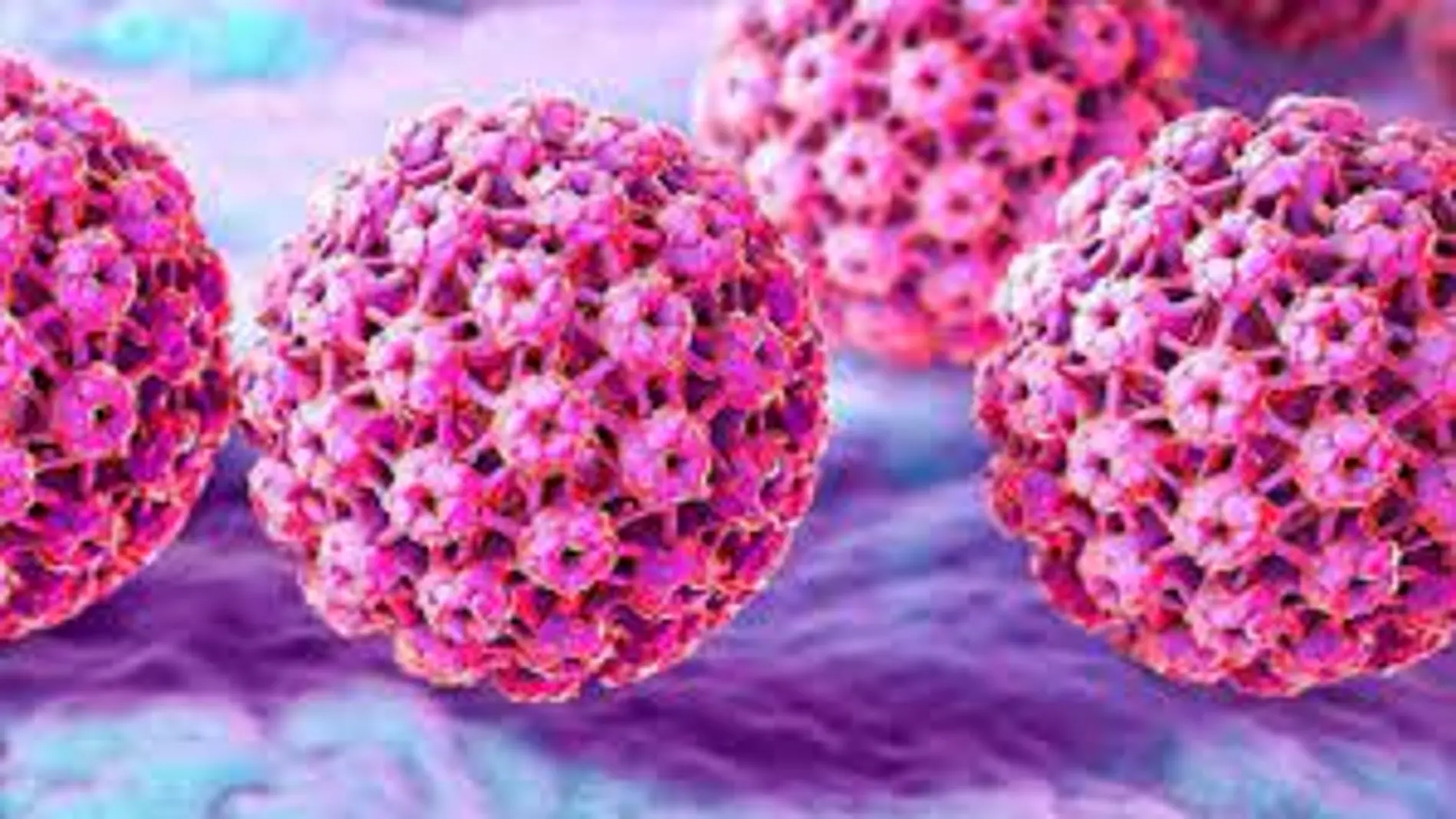 El virus del papiloma humano