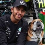 Hamilton, junto a su mascota