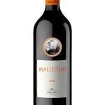 Malleolus 2019