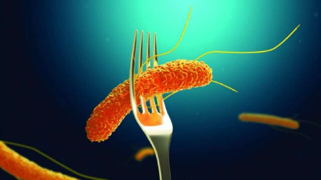 Salmonelosis