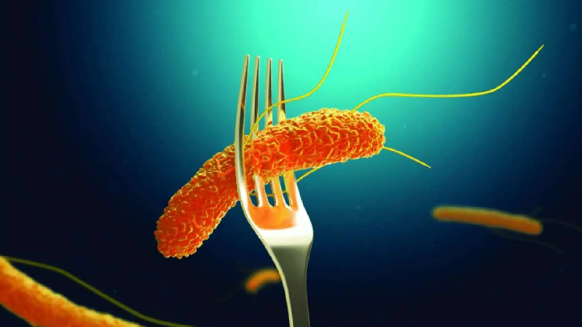 Salmonelosis