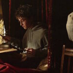 Hedwing, la lechuza de Harry Potter