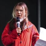 Vinagreta Thunberg