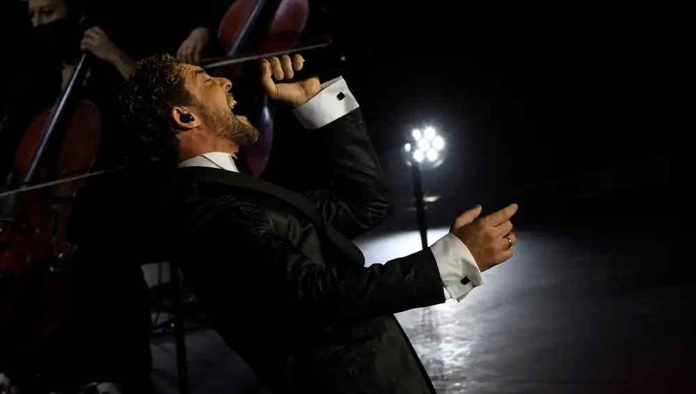 David Bisbal en uno de sus conciertos