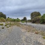 La desembocadura del río Genal en el Guadiaro. VERDEMAR