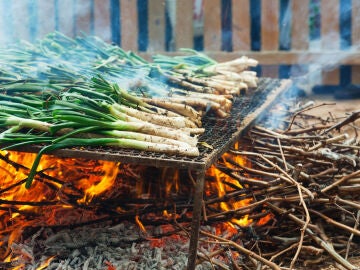 Cal&ccedil;otada en Valls