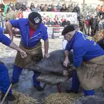 La localidad salmantina de Guijuelo celebra la Matanza Típica