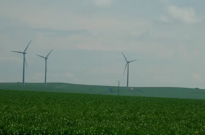 El lenguaje de la energía, el idioma que todos compartimos El lenguaje de la energía, el idioma que todos compartimos
