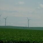 Imagen de archivo de molinos de energía eólica