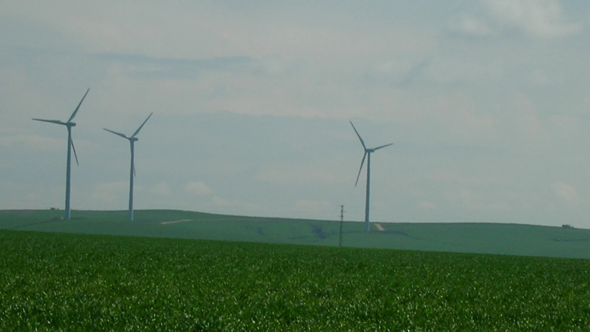 Imagen de archivo de molinos de energía eólica