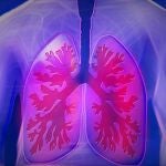 Un fármaco pionero logra tratar la mucosidad grave de las vías respiratorias, según un nuevo estudio publicado en «Nature»