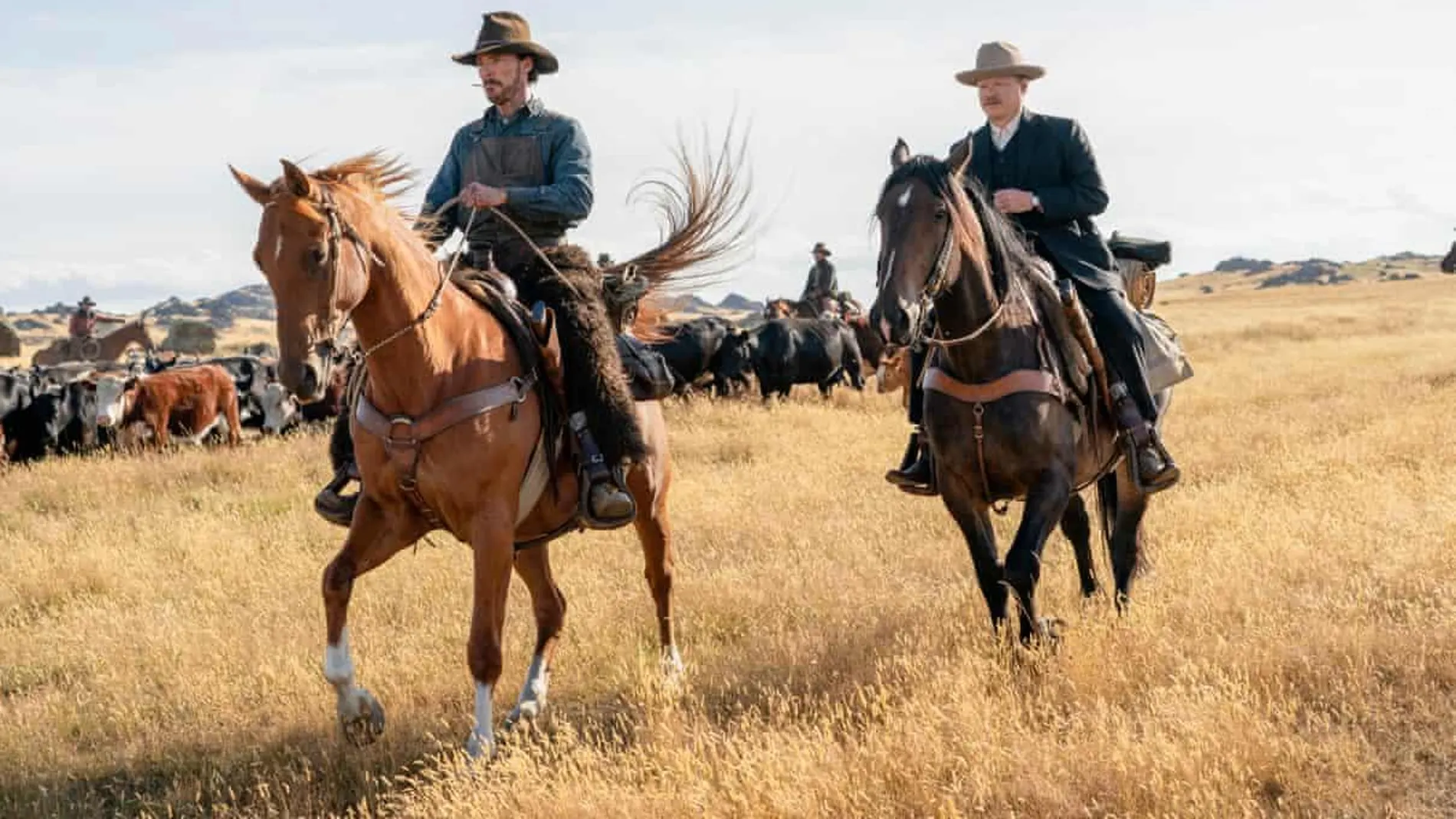 Un fotograma de "El poder del perro"