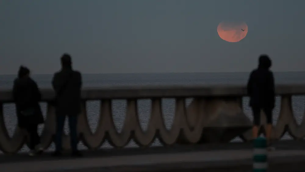 Tres personas observan un eclipse lunar parcial desde A Coruña