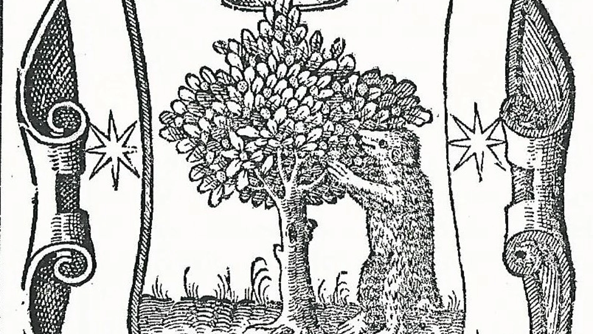 El escudo de Madrid, según López de Hoyos en 1569: La "osa" y el madroño; la corona real cuyo uso concedió Carlos V en 1544; y "las siete estrellas que en el cielo llamamos el carro", en una bordura de azul