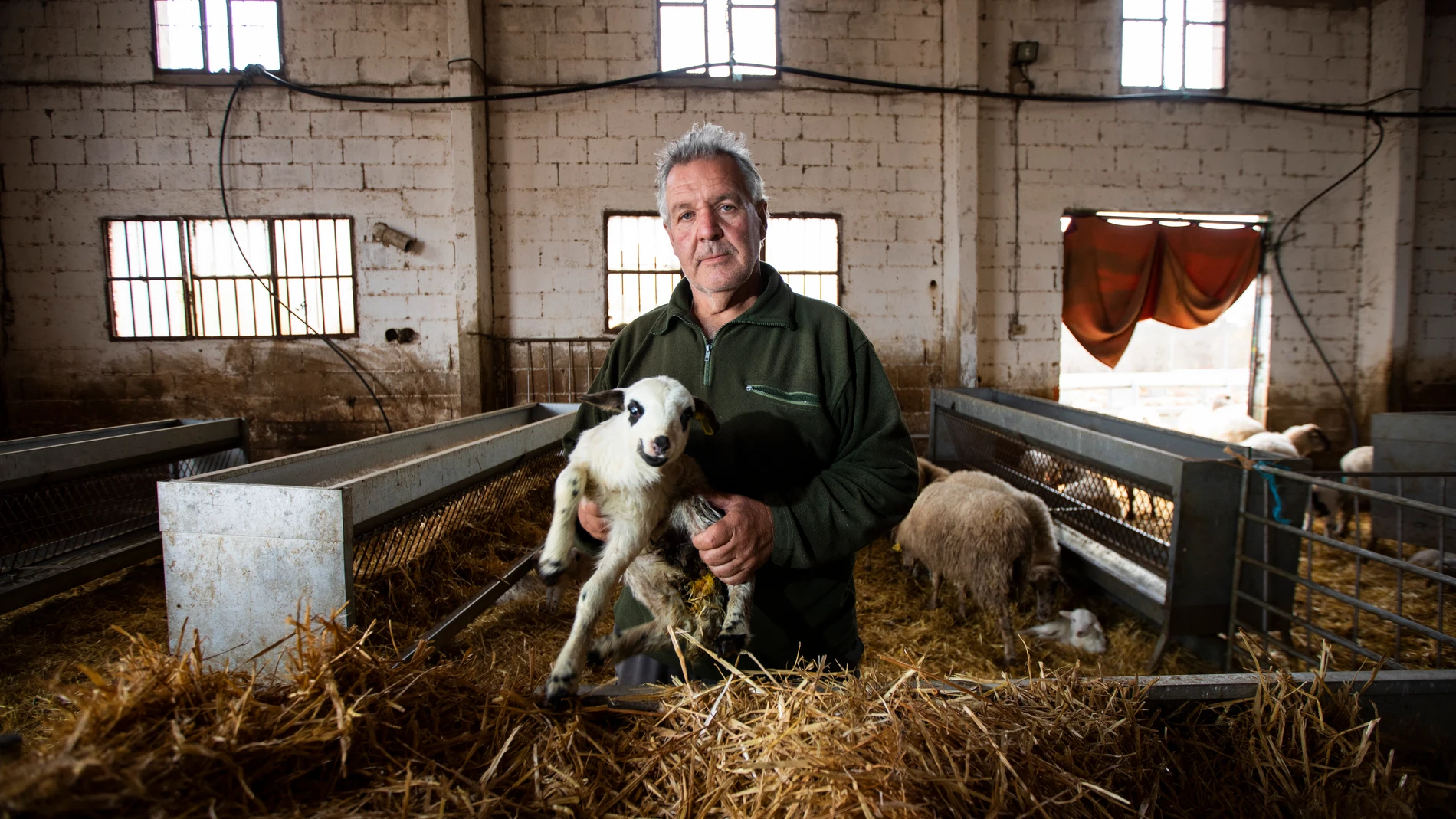 Jorge Izquierdo, ganadero madrileño