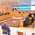 Pleno de la Diputación de Sevilla