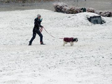 Una mujer pasea con su perro bajo la nieve ca&iacute;da en Castilla y Le&oacute;n