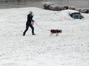 Una mujer pasea con su perro bajo la nieve caída en Castilla y León Una mujer pasea con su perro bajo la nieve caída en Castilla y León