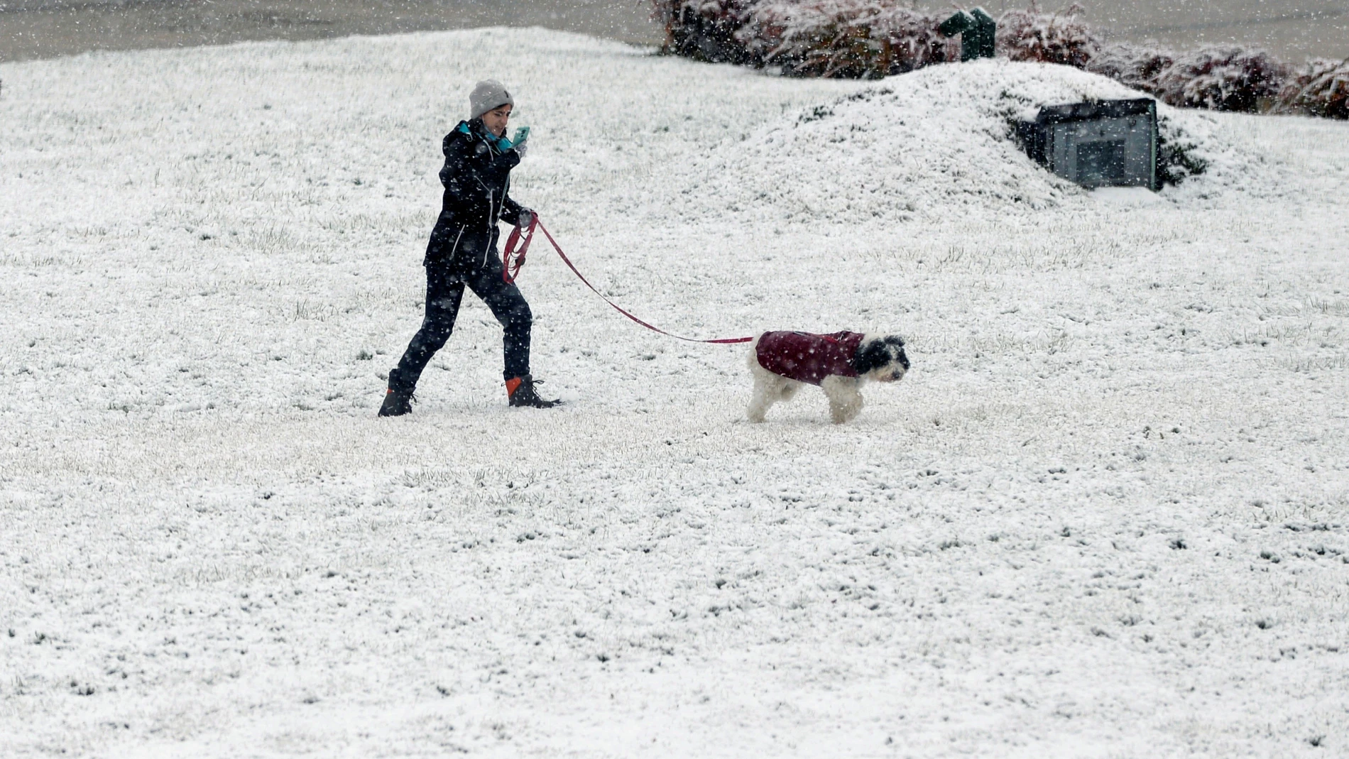 Una mujer pasea con su perro bajo la nieve caída en Castilla y León