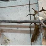 Algunos de los objetos encontrados por la Guardia Civil en el taller